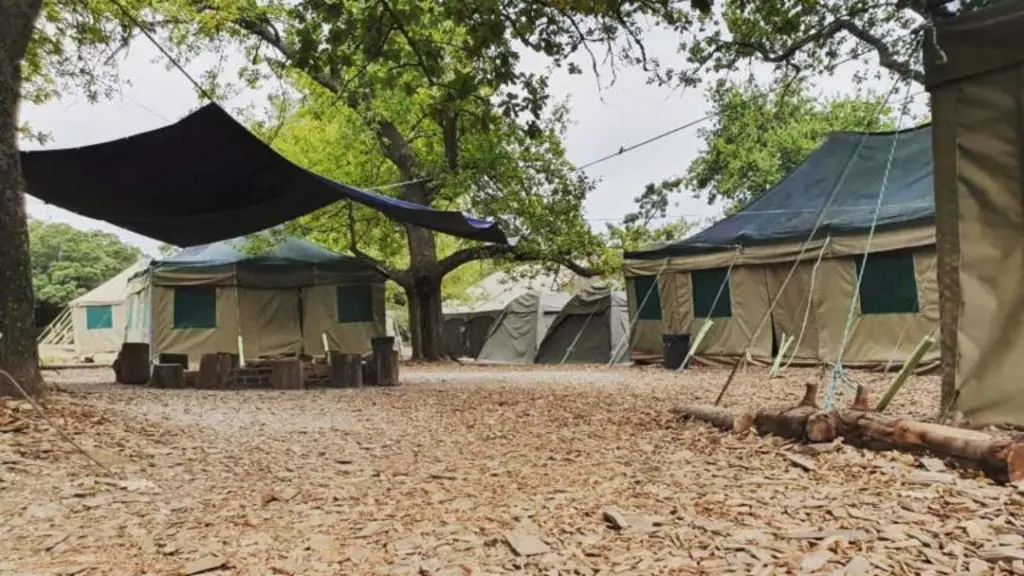 Back 2 Basics Adventure Camps