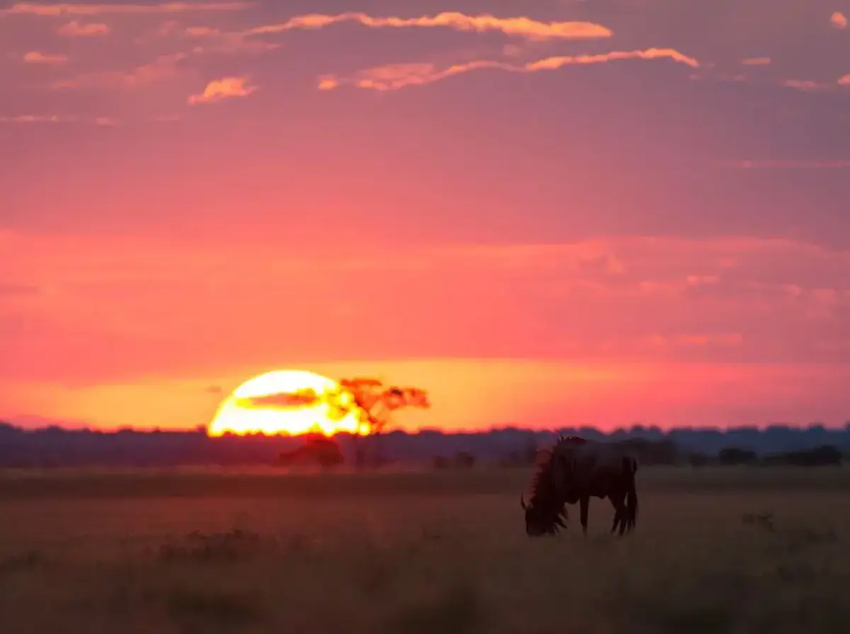 Camping in Botswana - Southern Africa