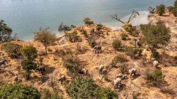 Central - Zambia campsites