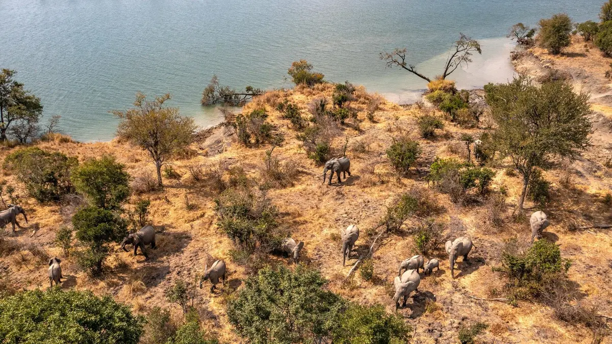 Camping in Zambia - Southern Africa
