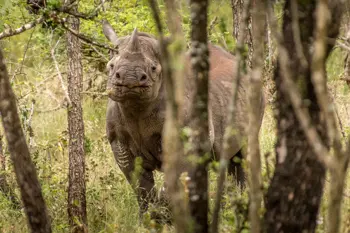 Lubombo - Swaziland campsites