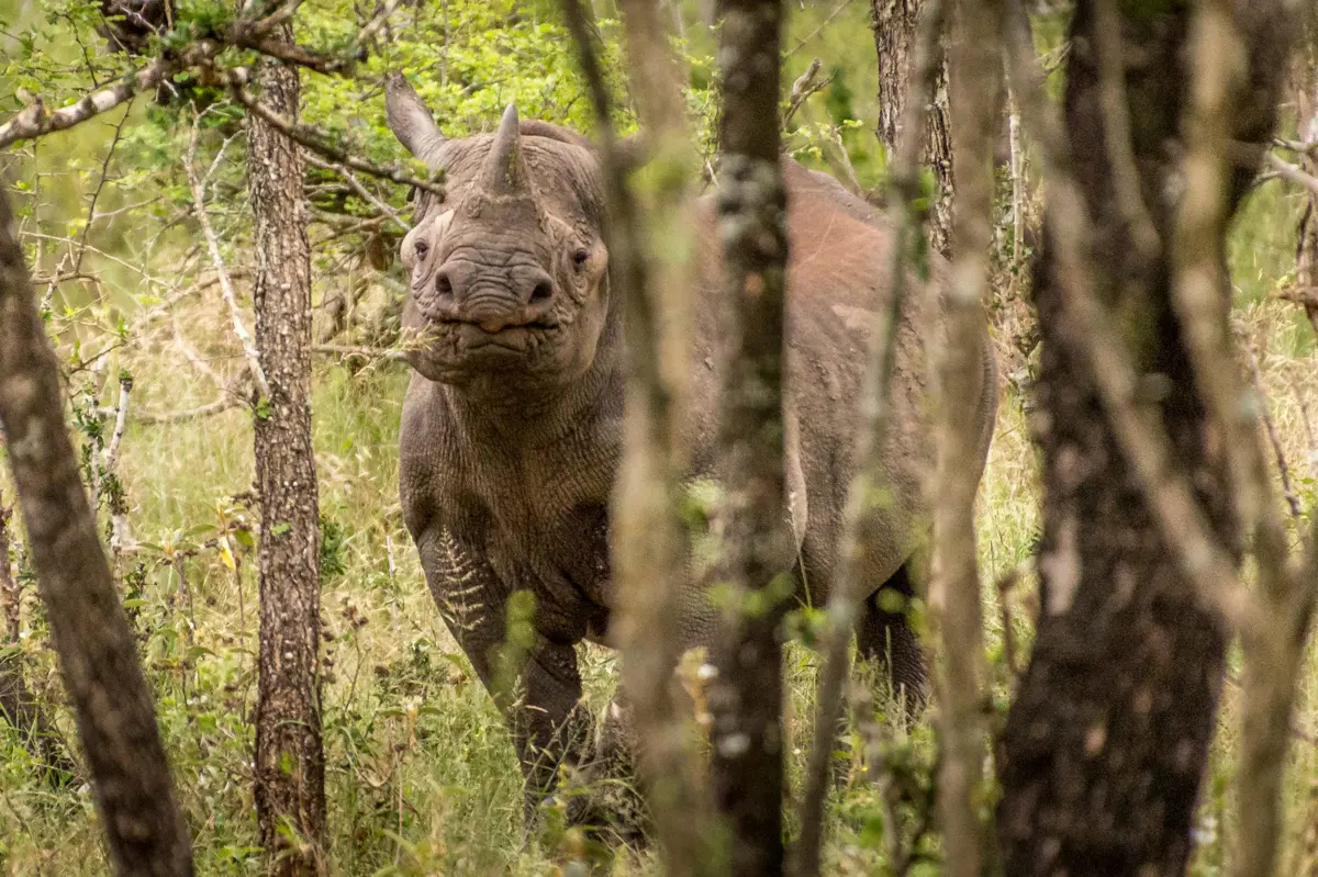 Camping in Swaziland - Southern Africa