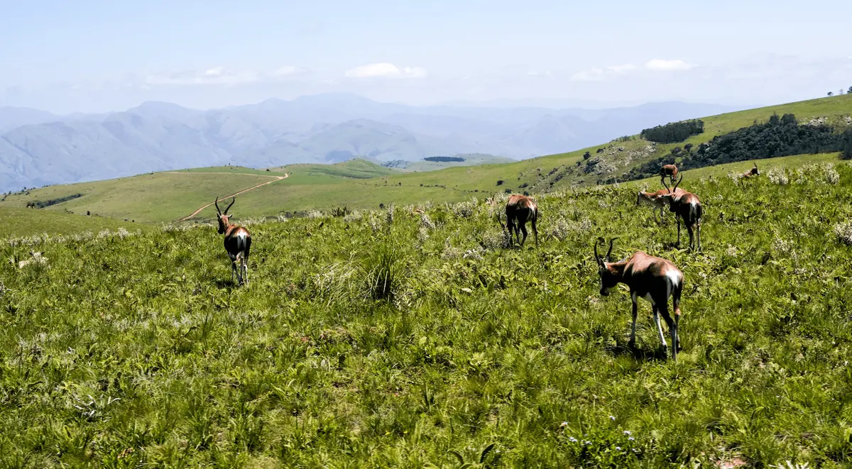 Camping in Swaziland - Southern Africa